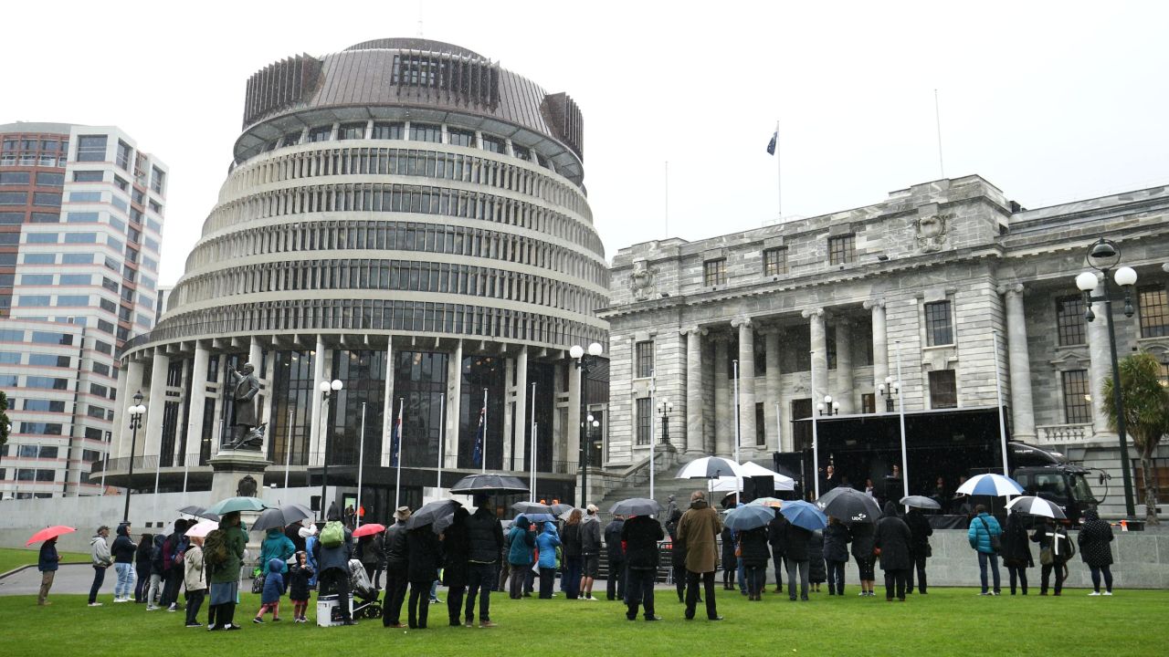 Anti-abortion protesters gathered on May 28 in Wellington to protest changes to the law.