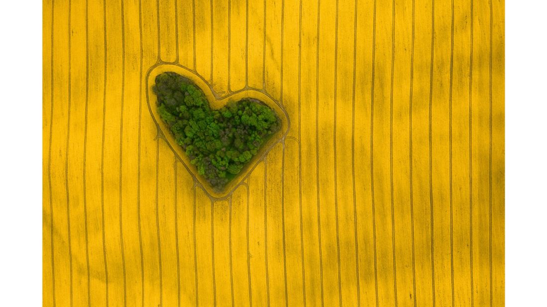 <strong>Winner Nature category -- "Island of Love":</strong> Jeremiasz Gądek's photo of a heart-shaped patch of oilseed rape flowers in the middle of a Polish field triumphed in this section.