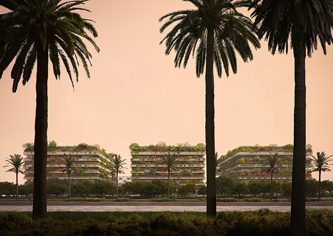 Planners will be using flora and trees suitable for the hot north African climate.