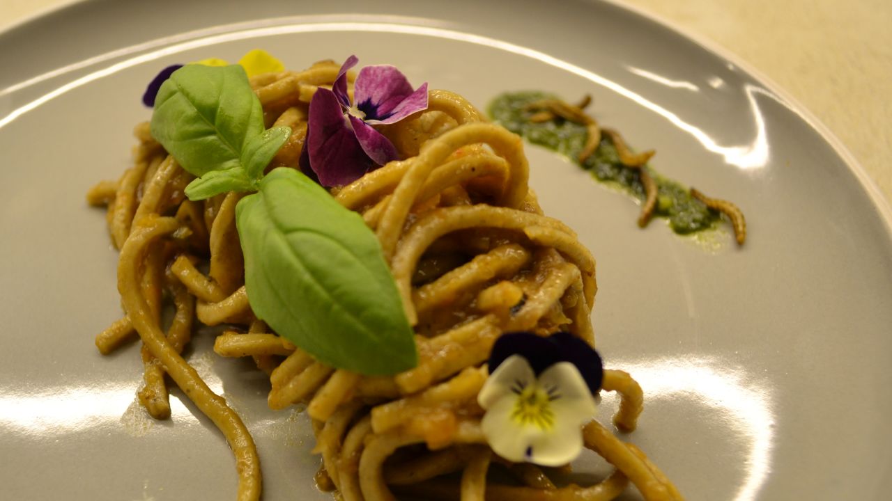  Pasta with black soldier fly larvae, garnished with mealworms
