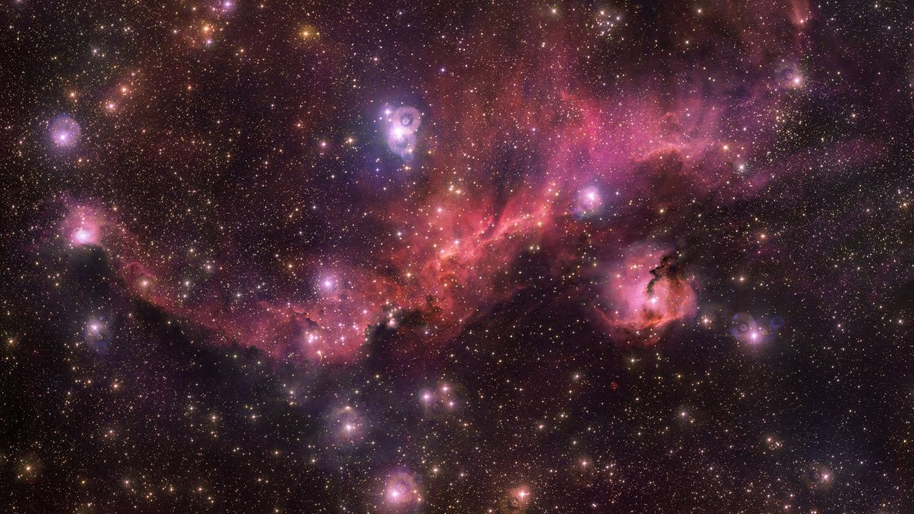 Glowing gas clouds and newborn stars make up the Seagull Nebula in one of the Milky Way galaxy's spiral arms.