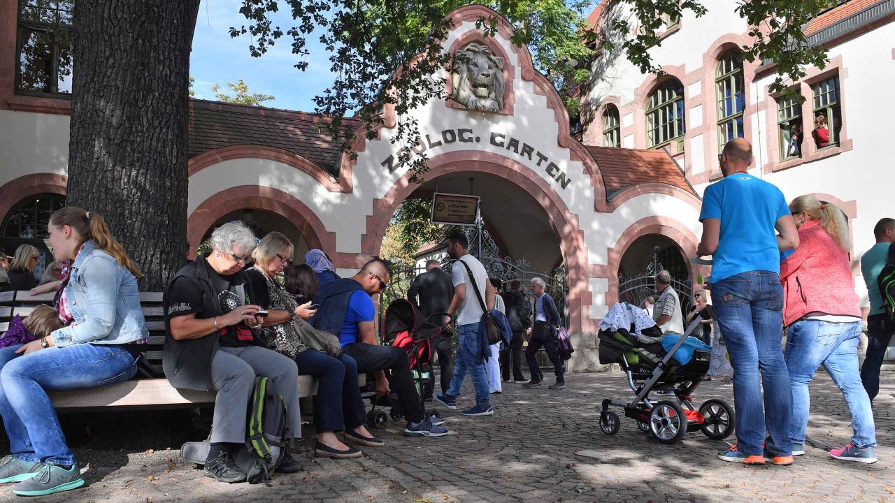 Leipzig Zoo in Germany, where lioness Kigali killed her newborn cubs.