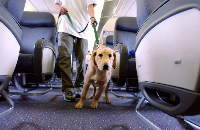 do all airlines accept emotional support dogs