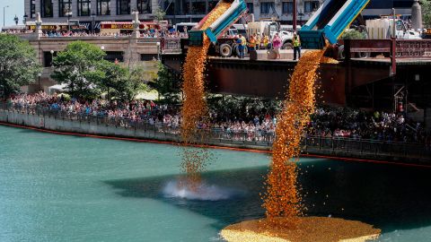 Rubber ducks are dropped into the Chicago River to start the annual Ducky Derby.