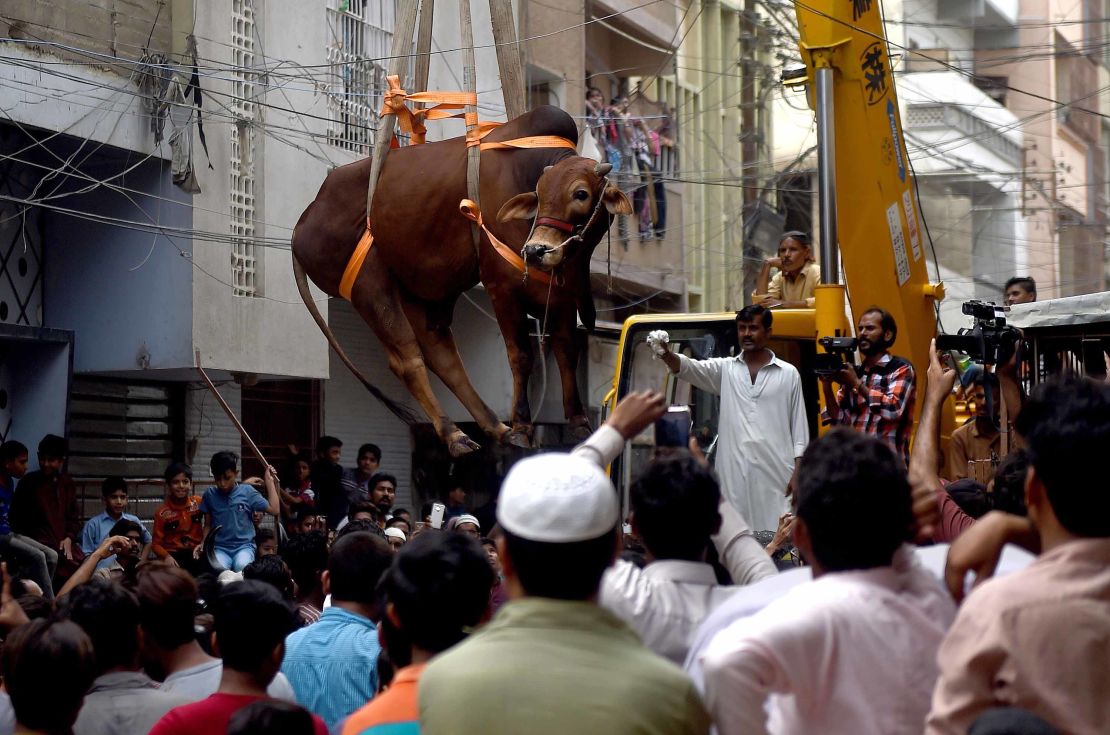 Pakistani residents watch as a crane lifts a bull from the roof of a building in preparation for Eid al-Adha, in Karachi.  