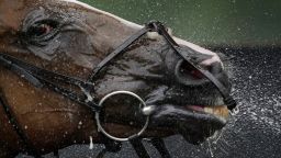 NEWMARKET, ENGLAND - JULY 12: A general view as a runner is hosed down after racing at Newmarket Racecourse on July 12, 2019 in Newmarket, England. (Photo by Alan Crowhurst/Getty Images)