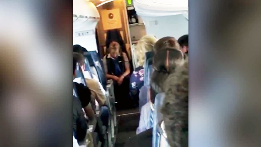 united flight attendant accused being drunk fired wxp vpx_00002020