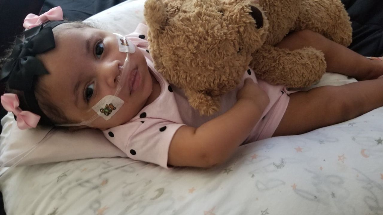 After being taken off life support, Phoenix breathes with the help of a nasal cannula that provides supplemental oxygen. 