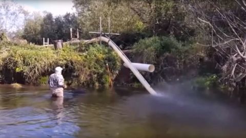 Salmon swim up to the tube, which shoots them up to 22 miles per hour over a dam.