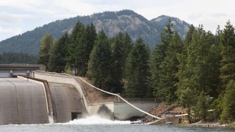 Salmon swim into the tube and shoot out (safely, Vince Bryant says) over the dam.