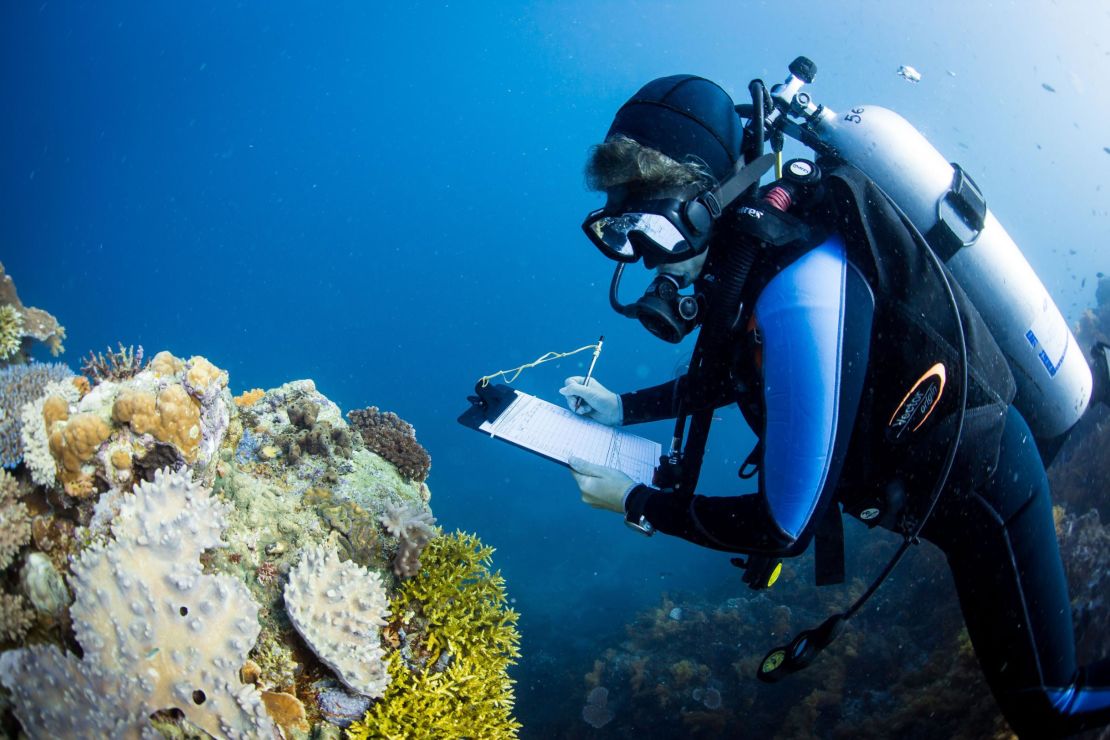 Marine scientists gather data on coral reefs near Fiji.