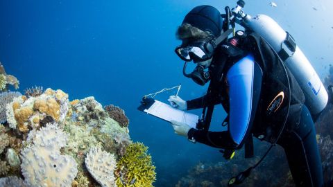 Marine scientists gather data on coral reefs near Fiji.