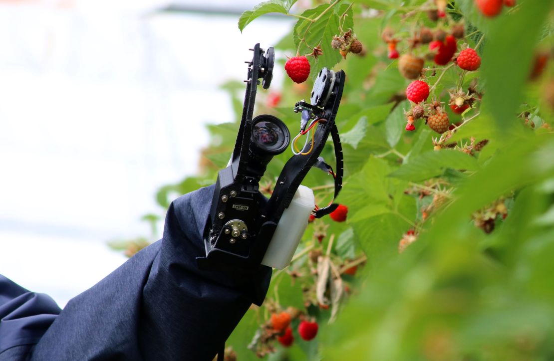 Fruit picking robots like this one, developed by Fieldwork Robotics, operate for more than 20 hours a day