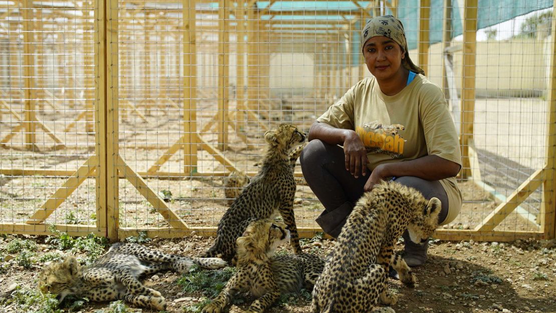 Veterinarian student Neju Jimmy lives in the shelter and is the main care-giver of the rescued cheetahs.
