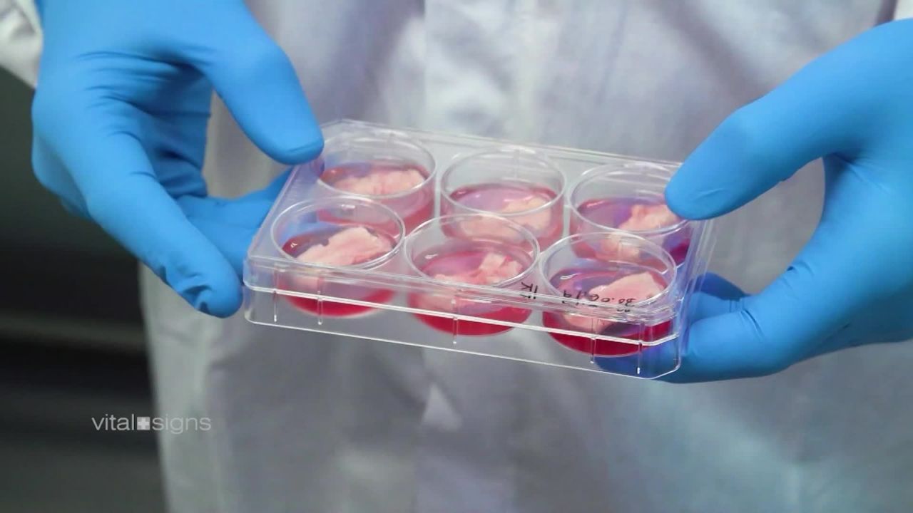 Vital Signs science petri dish meat_00012408.jpg