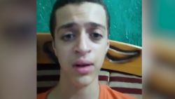 Moustafa Hamed pleads for mother's release from Egyptian jail