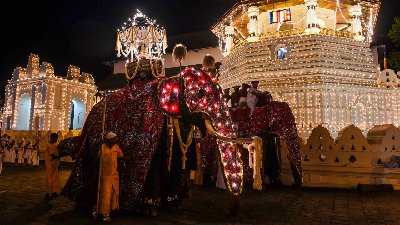 In this photograph taken on August 14, 2019 elephants decorated for the "Esala Perahera" festival are led past the Buddhist temple of the Tooth in the ancient hill capital of Kandy.