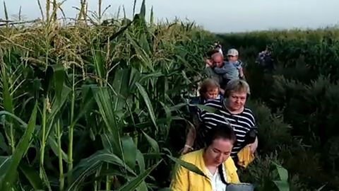 Passengers make their way through a cornfield near Zhukovsky International Airport after their flight made an emergency landing on Thursday.