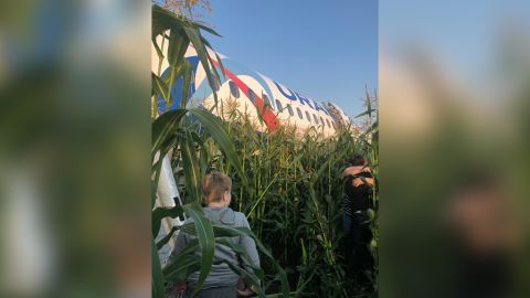 The Airbus A321 Ural Airlines plane of the Ural Airlines is seen after making an emergency landing in a field near Zhukovsky International Airport on Thursday. 