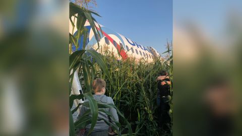 The Airbus A321 Ural Airlines plane of the Ural Airlines is seen after making an emergency landing in a field near Zhukovsky International Airport on Thursday.