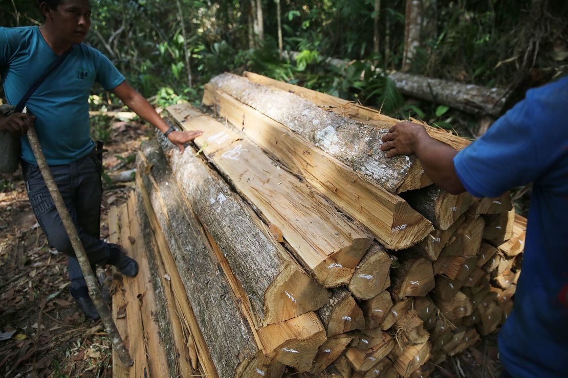 Members of the Ka'apor indigenous tribe inspect illegal logging found on their protected land in Brazil.