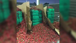 COPY jalapeno peppers marijuana shipment
