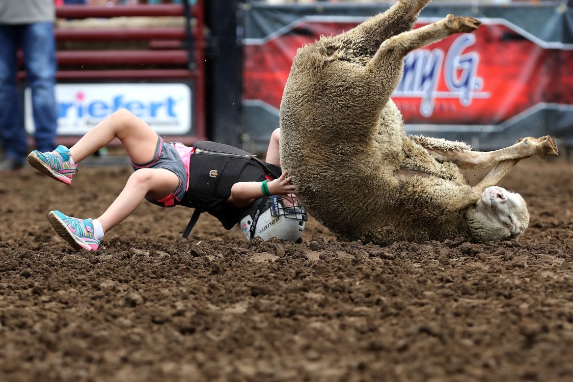 A young girl tumbles off an ewe during the Wool Riders Only Mutton Bustin' competition at the Iowa State Fair in Des Moines, Iowa, on Monday, August 12.