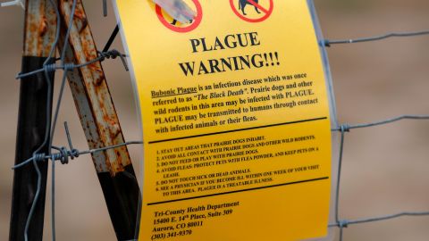 A sign warns of the plague at a parking lot near the Rocky Mountain Arsenal Wildlife Refuge in Commerce City, Colorado.