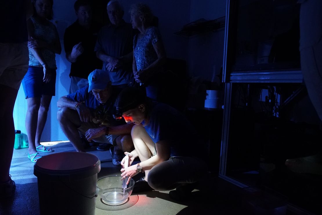 Scientists checking on the coral in the greenhouse.
