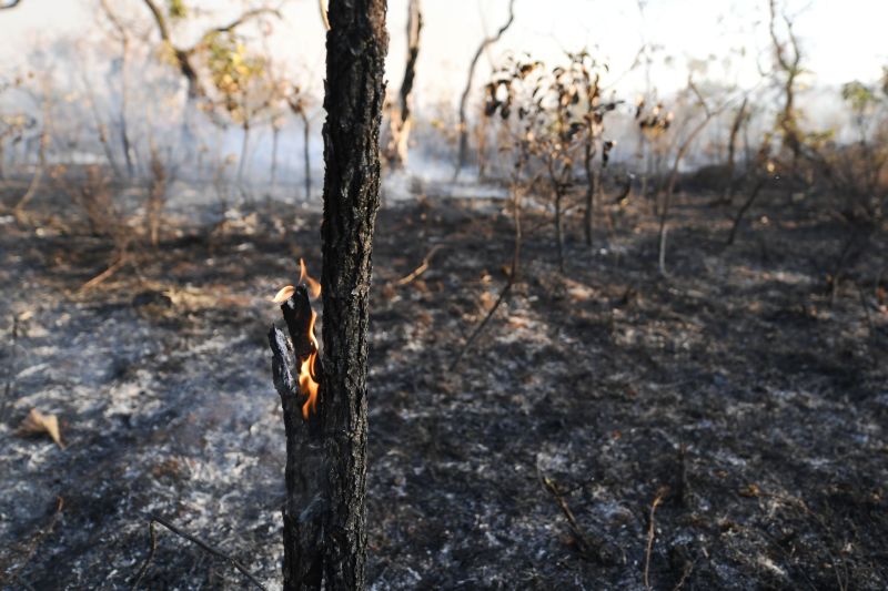 Amazon Rainforest Fires Are Burning At A Record Rate | CNN