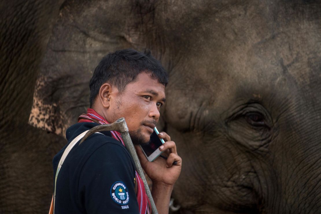 A handler carries a bullhook at an elephant show in southeastern Thailand.
