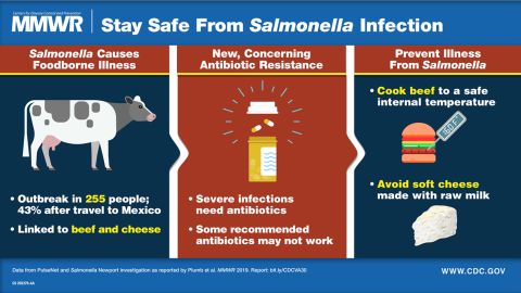 20190822-salmonella-infection-cdc