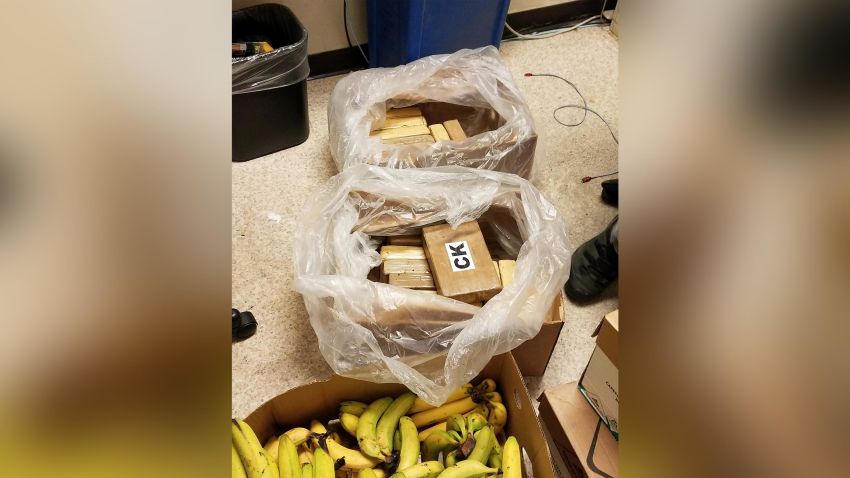 Authorities say workers at three Washington supermarkets found bricks of cocaine hidden in their shipments of bananas. This photo shows 22 kilograms of cocaine that was shipped to a Safeway in Woodinville, Washington.