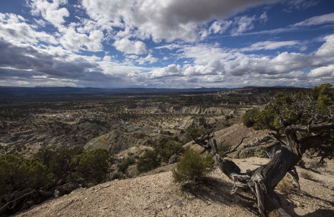 <strong>Grand Staircase-Escalante National Monument:</strong> During the past two decades, the Kaiparowits Plateau has yielded some of the most remarkable paleontological discoveries in the Grand Staircase-Escalante National Monument. The vast monument in southern Utah, which continues to produce new dinosaur species, has made significant contributions to scientific understanding of the Mesozoic era. 