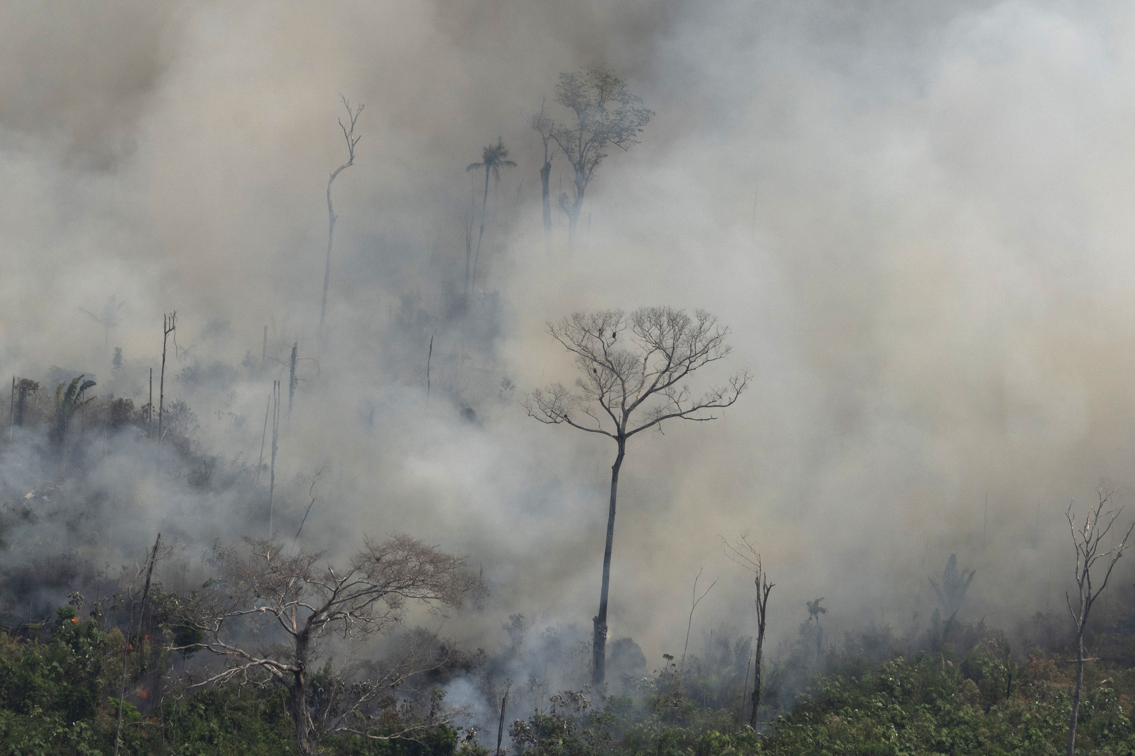 Amazon rainforest fires: Here's what we know | CNN