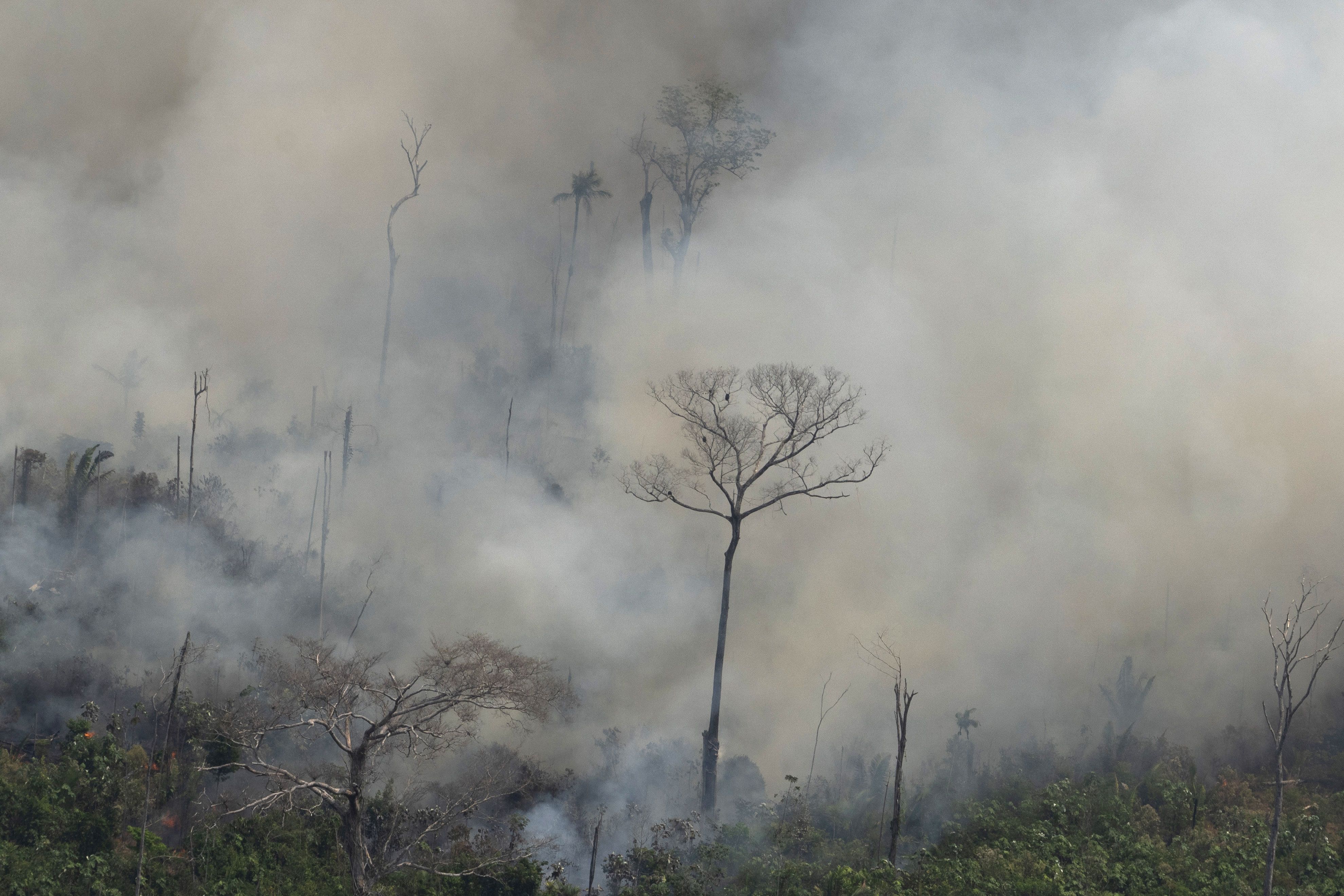 Amazon rainforest fires: Here's what we know | CNN Amazon rainforest fires: Here's what we know | CNN