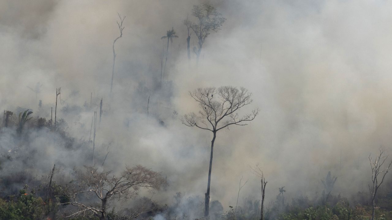 Fire consumes an area near Porto Velho, Brazil, Friday, Aug. 23, 2019. Brazilian state experts have reported a record of nearly 77,000 wildfires across the country so far this year, up 85% over the same period in 2018. Brazil contains about 60% of the Amazon rainforest, whose degradation could have severe consequences for global climate and rainfall. (AP Photo/Victor R. Caivano)