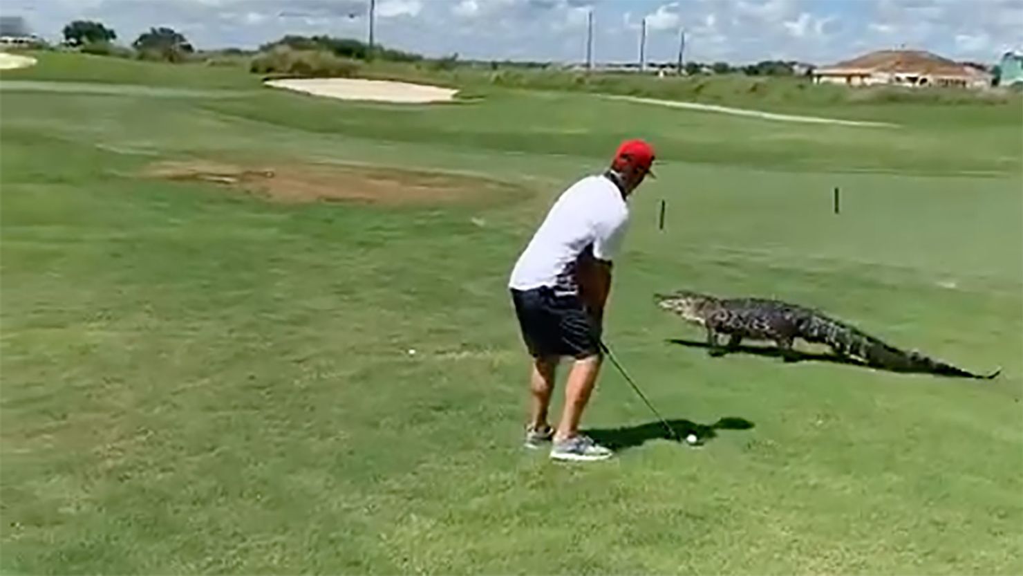 Florida: Where making your shot on the links won't be derailed by anything