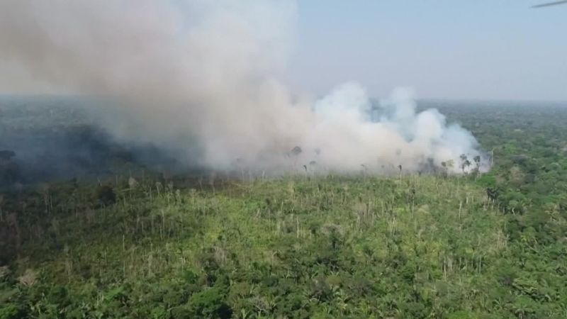 The Amazon Rainforest Is On Fire. Here’s What That Means For The ...