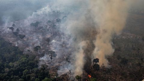 Amazon Deforestation Rate Hits Highest Level In Over A Decade Cnn Amazon Deforestation Rate Hits Highest Level In Over A Decade Cnn