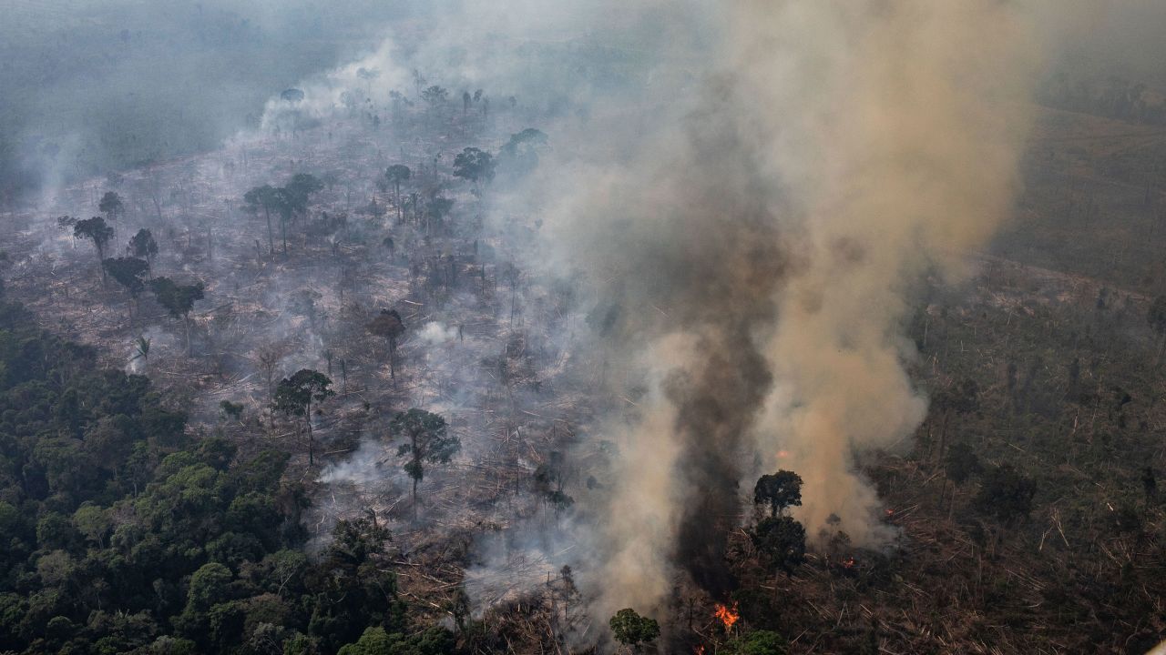 In this aerial image, a fire burns in a section of the Amazon rain forest on August 25, 2019 in Porto Velho, Brazil. 