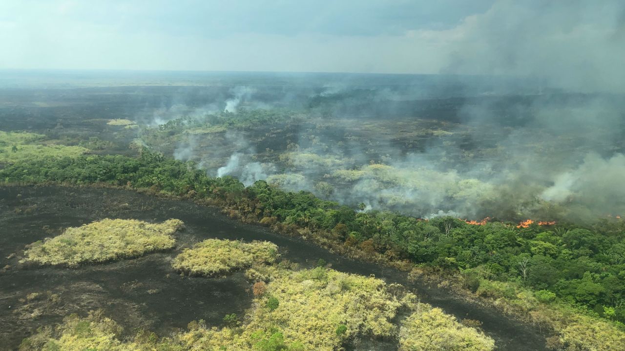 "This is not just a forest that is burning", said Greenpeace's Rosana Villar. "This is almost a cemetery. Because all you can see is death."