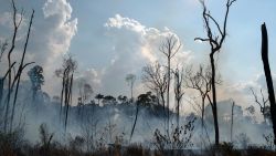 Fire consumes an area in the Alvorada da Amazonia region, in Novo Progresso, Para state, Brazil, Sunday, Aug. 25, 2019. The country's satellite monitoring agency has recorded more than 41,000 fires in the Amazon region so far this year, with more than half of those coming in August alone.