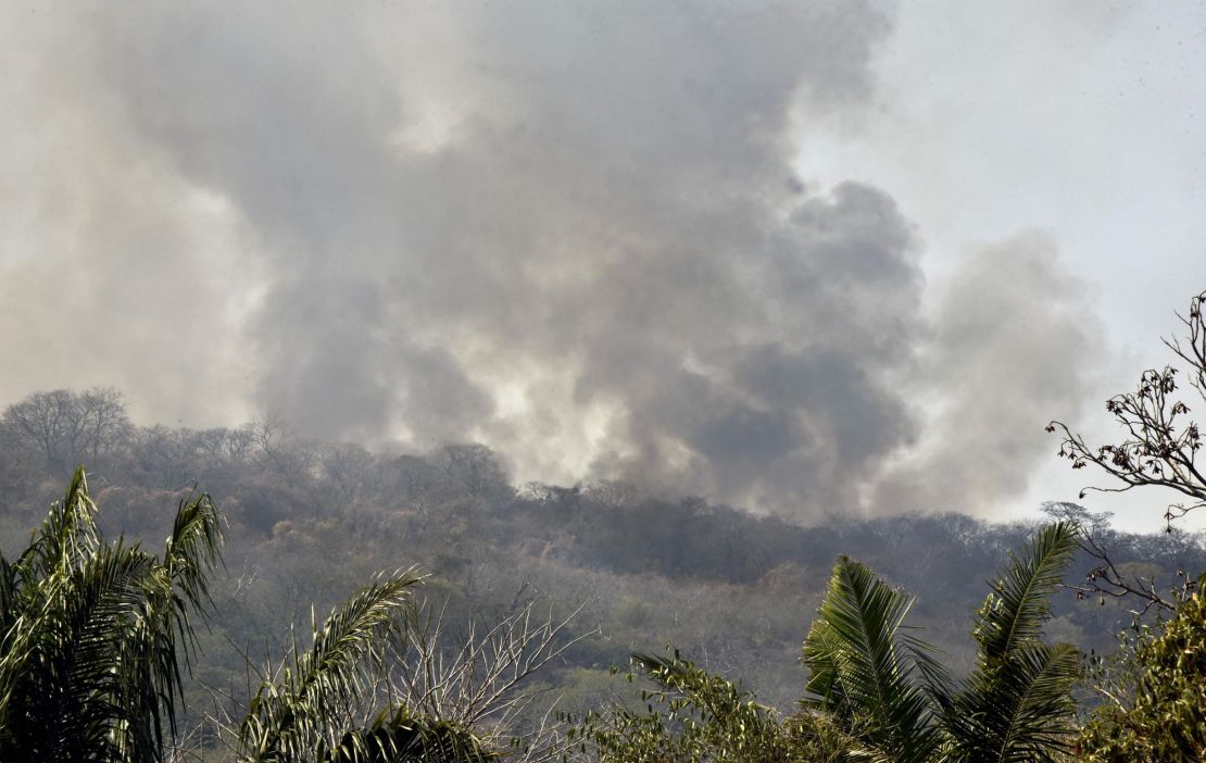 Wildfires have decimated large areas of Bolivia's rainforest.