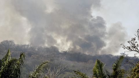 Wildfires have decimated large areas of Bolivia's rainforest.