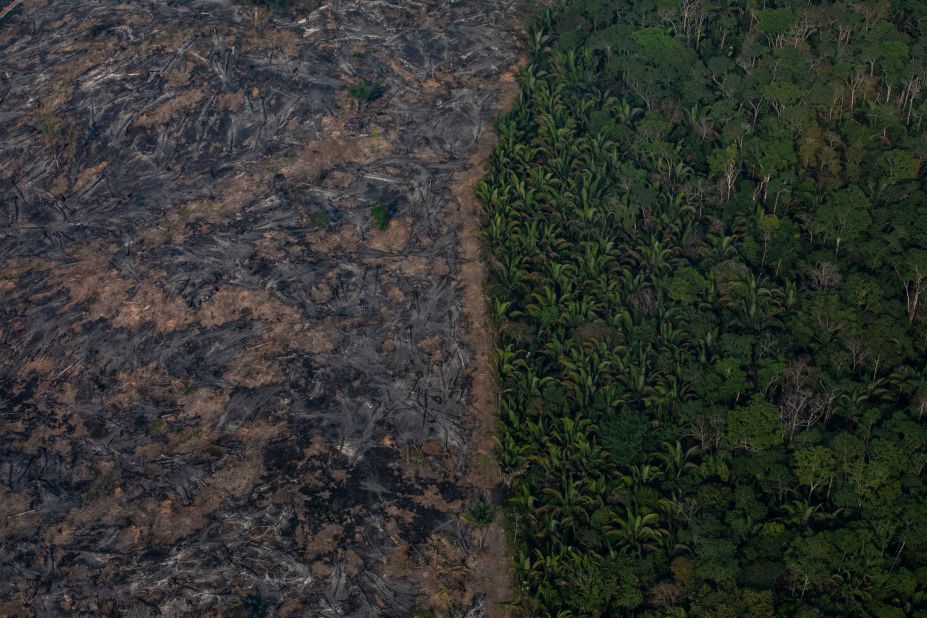 This aerial photo, taken on Sunday, August 25, shows a burned-out section of the Amazon near Porto Velho.