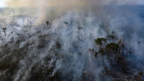 This aerial photo shows burned territory in Brazil's Mato Grosso state on August 23.