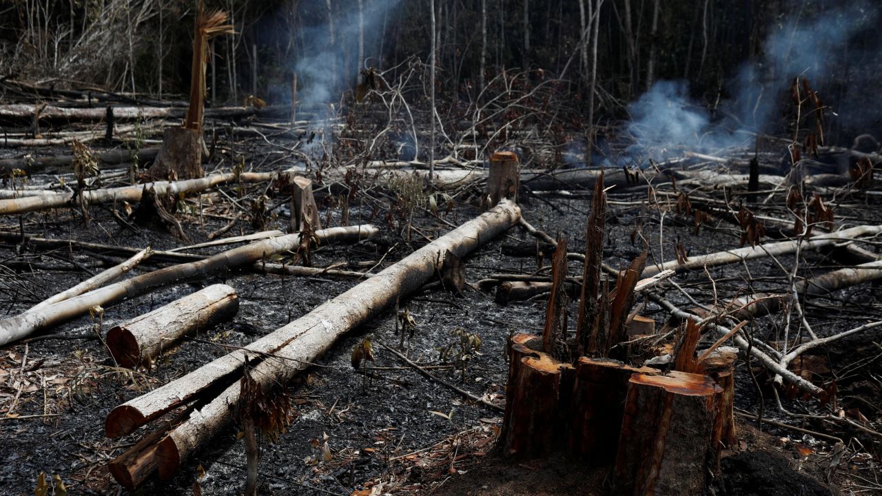 14 amazon wildfires unf