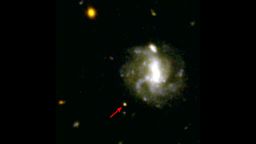 captured by NASA's Hubble Space Telescope, a newly confirmed kilonova (red arrow) -- a cosmic explosion that creates massive amounts of gold and platinum -- rapidly fades from view as the explosion's afterglow diminishes over a period of 10 days. The kilonova was originally identified as a standard gamma-ray burst, but a UMD-led team of astronomers recently revisited the data and found evidence for a kilonova. CREDIT NASA/ESA/E. Troja