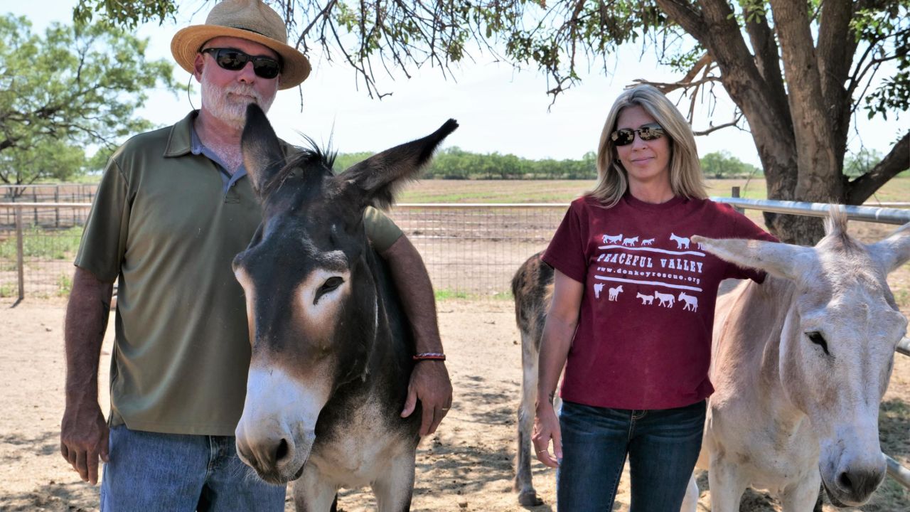 cnnheroes meyers with wife and donkeys